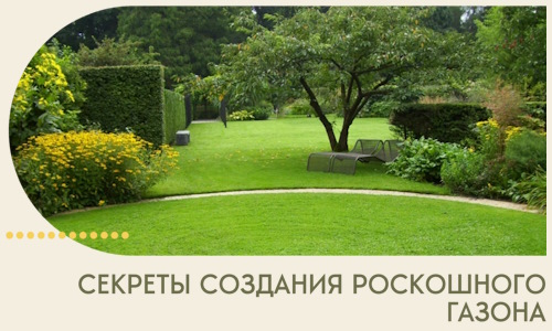 Секреты создания роскошного газона в Карталах