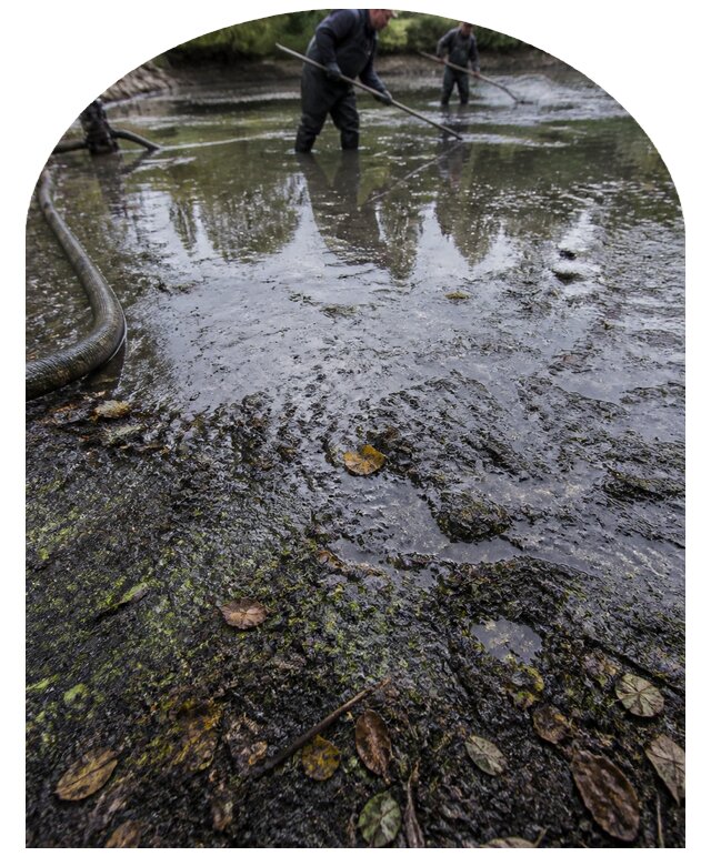 Очистка пруда в Карталах от ила мусора и водорослей с вывозом